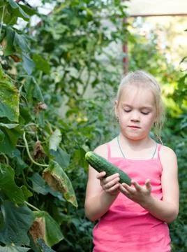 Vegetable garden Stock Photos