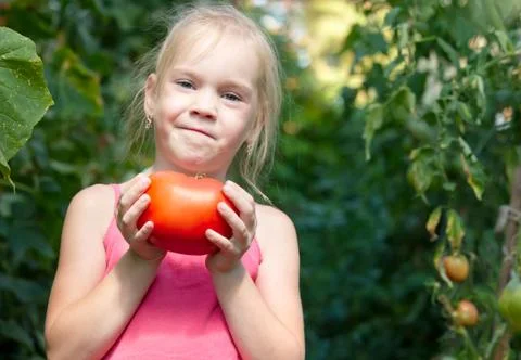 Vegetable garden Stock Photos