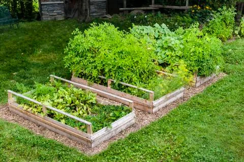Vegetable garden in raised boxes Stock Photos