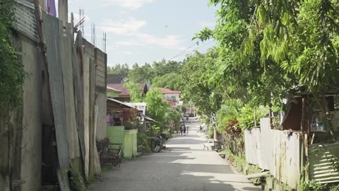 Vegetable Garden in Samar, Philippines Stock Footage 229661130