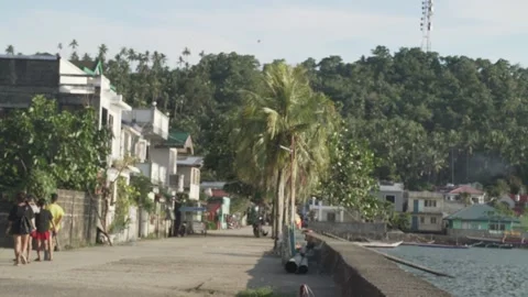 Vegetable Garden in Samar, Philippines Stock Footage 229663040