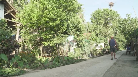 Vegetable Garden in Samar, Philippines Stock Footage 229663366