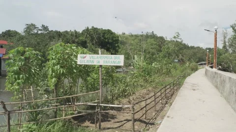 Vegetable Garden in Samar, Philippines Stock Footage 229663821