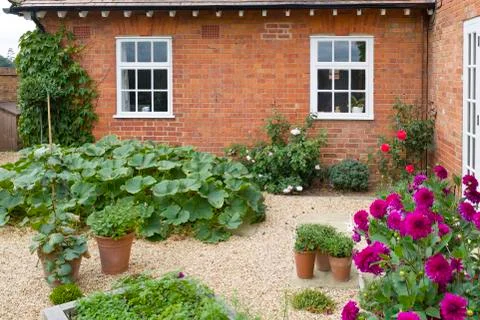 Vegetable garden UK Stock Photos