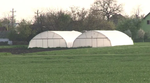 Vegetable Greenhouse Vidéo 37044681
