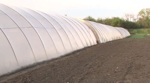 Vegetable Greenhouse Video stock 37046963