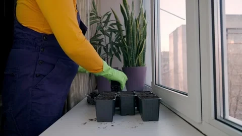 Vegetable Grower, Farmer, Gardener Preparing Soil Stock-Footage 261496941