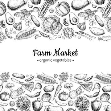 Vegetable hand drawn vintage vector illustration. Farm Market poster. Vegetar Stock Illustration