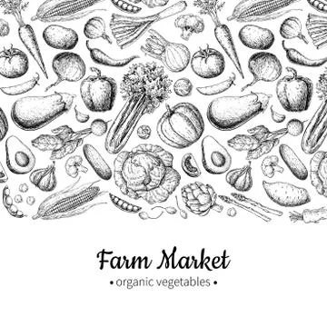 Vegetable hand drawn vintage vector illustration. Farm Market poster. Vegetar Stock Illustration