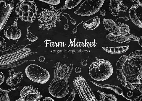 Vegetable hand drawn vintage vector illustration. Farm Market poster. Vegetar Stock Illustration