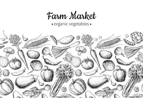 Vegetable hand drawn vintage vector illustration. Farm Market poster. Vegetar Stock Illustration