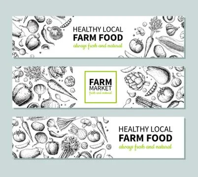 Vegetable hand drawn vintage vector banner. Farm Market poster. Vegetarian sk Stock Illustration