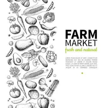 Vegetable hand drawn vintage vector frame illustration. Farm Market poster. V Stock Illustration
