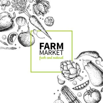 Vegetable hand drawn vintage vector frame illustration. Farm Market poster. V Stock Illustration