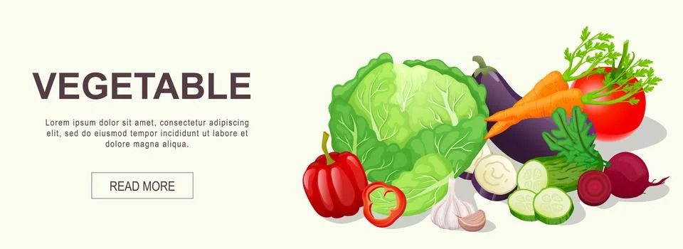 Vegetable horizontal web banner. Cabbage, pepper, garlic, cucumber, beet, car Stock Illustration