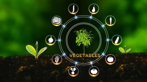 Vegetable Icon Concept Stock Photos