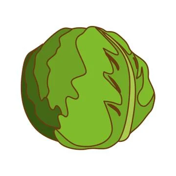 Vegetable icon image Stock Illustration