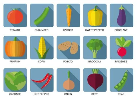 Vegetable icon set. the image of vegetables symbol イラスト素材