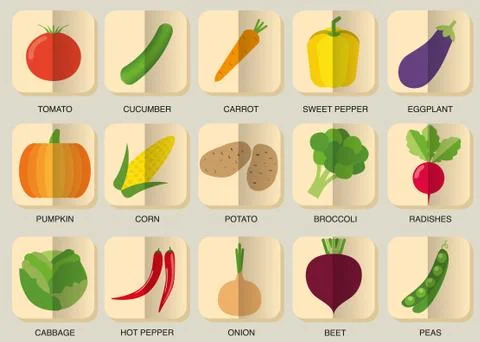Vegetable icon set. the image of vegetables symbol イラスト素材