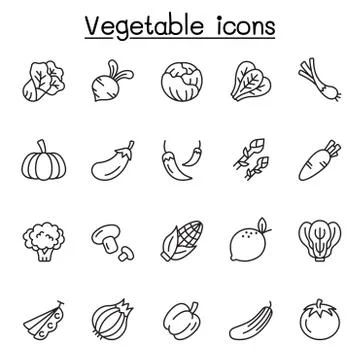 Vegetable icons set in thin line stlye Stock Illustration