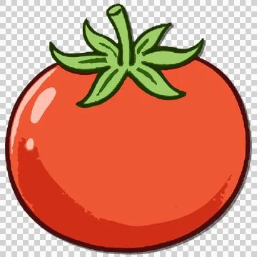 Vegetable Stock-Illustration
