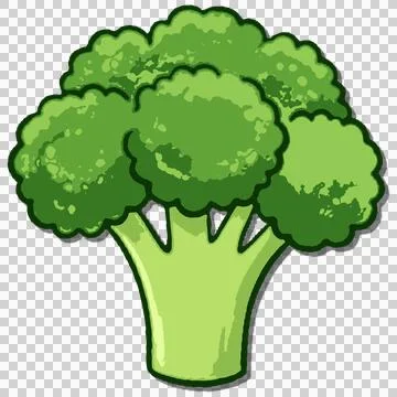 Vegetable Stock-Illustration