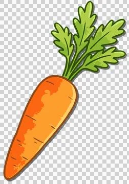 Vegetable Illustrazione stock