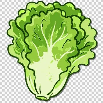 Vegetable Stock-Illustration
