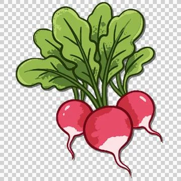 Vegetable Stock-Illustration
