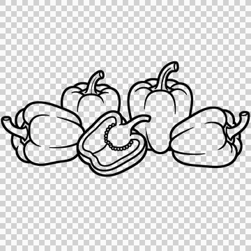 Vegetable 库存插图