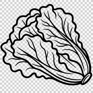 Vegetable Illustrazione stock