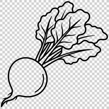 Vegetable Stock-Illustration