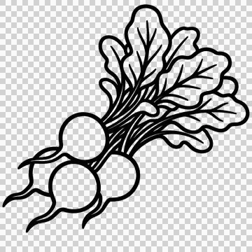 Vegetable Stock Illustration