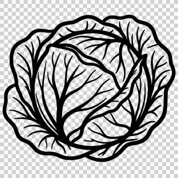 Vegetable 库存插图