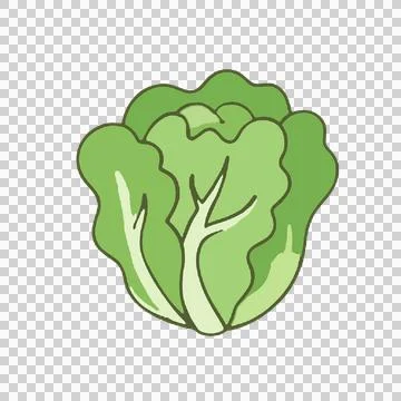 Vegetable Illustrazione stock