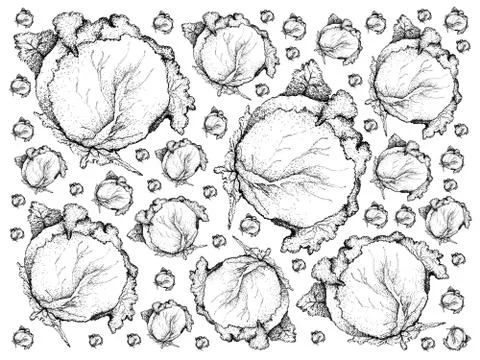 Vegetable, Illustration Background Pattern of Hand Drawn Sketch Delicious Fre Stock Illustration