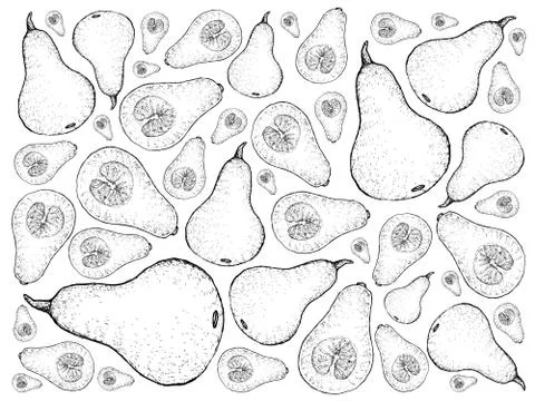 Vegetable, Illustration Background Pattern of Hand Drawn Sketch Fresh Buttern Ilustración de archivo