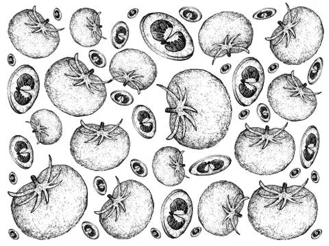 Vegetable, Illustration Background Pattern of Hand Drawn Sketch Delicious Fre Stock Illustration