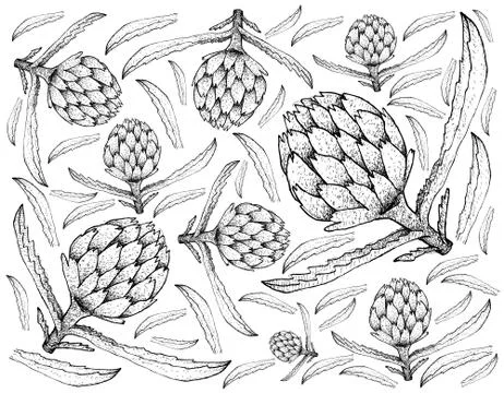 Vegetable, Illustration Background Pattern of Hand Drawn Sketch Delicious Fre Stock Illustration