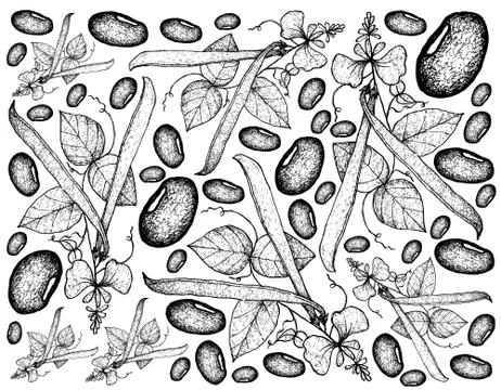 Vegetable, Illustration Background Pattern of Hand Drawn Sketch Fresh Runner Stock Illustration