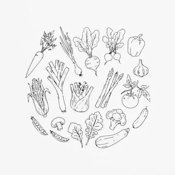 Vegetable illustration, hand drawn line art, healthy food icons set Silhouett Ilustración de archivo