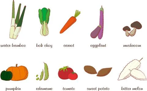Vegetable illustration Illustrazione stock