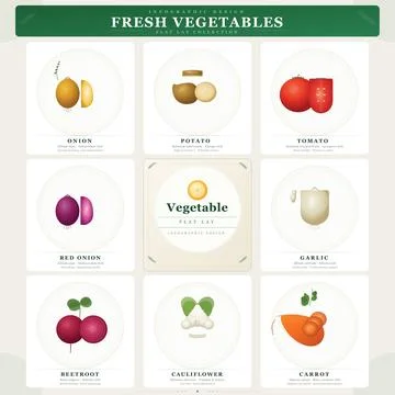 Vegetable Infographic Vector Nutritional Facts Health Benefits Stock Illustration