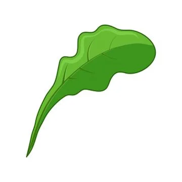 Vegetable leaf icon design isolated on white background Stock Illustration