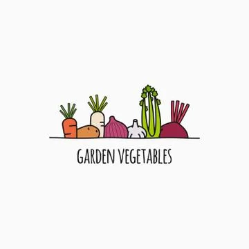 Vegetable linear logo. Garden vegetables on white Stock Illustration