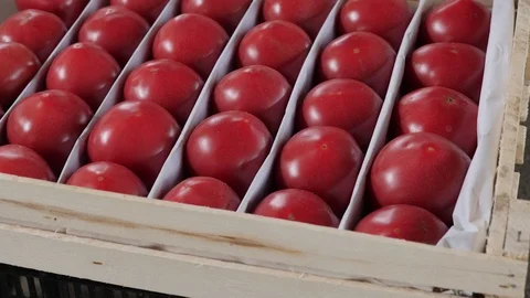 Vegetable on the market in a basket Stock Footage 121905821