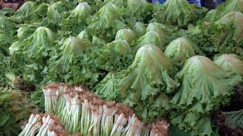 Vegetable market. Video stock 92782111