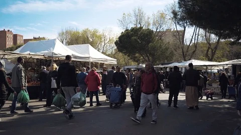Vegetable market Stock Footage 126369984