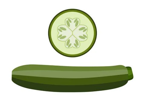 Vegetable marrow  and vegetable marrow slices.  Vector graphics on a white ba Illustrazione stock