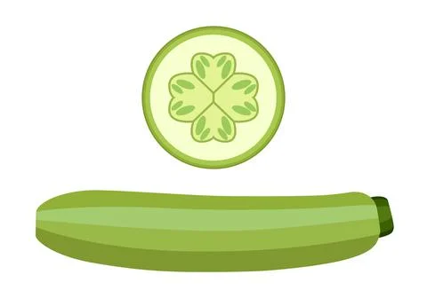 Vegetable marrow  and vegetable marrow slices.  Vector graphics on a white ba Illustrazione stock